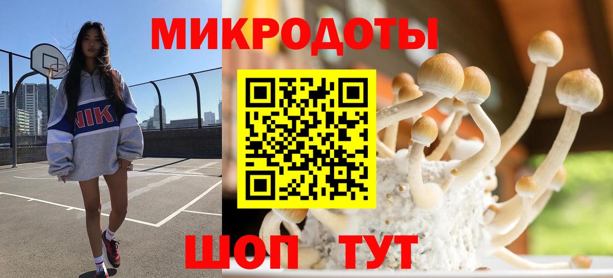 Галлюциногенные грибы Psilocybine cubensis Лангепас