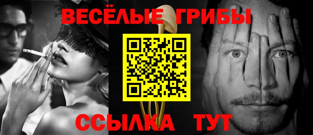 Лангепас  купить   Вход с VPN  Псилоцибиновые грибы Psilocybine cubensis  Галлюциногенные грибы GOLDEN TEACHER 